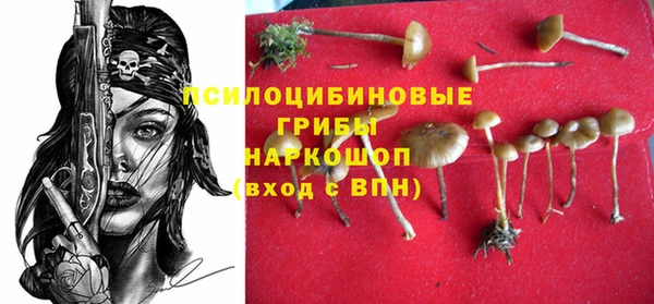 крисы Арсеньев