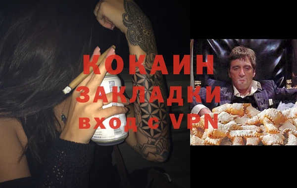 крисы Арсеньев